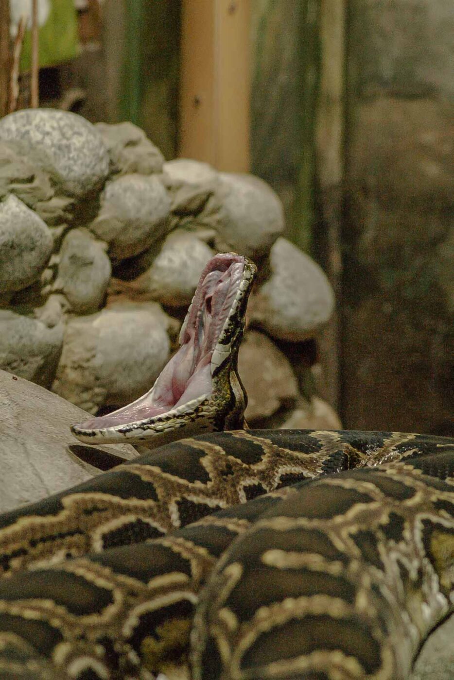 2016-02-17 - Tierpark und Fossilium Bochum