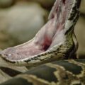 2016-02-17 - Tierpark und Fossilium Bochum