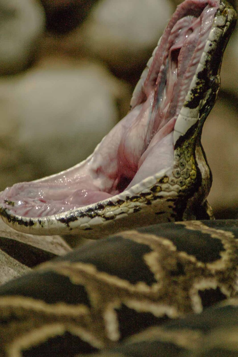 2016-02-17 - Tierpark und Fossilium Bochum