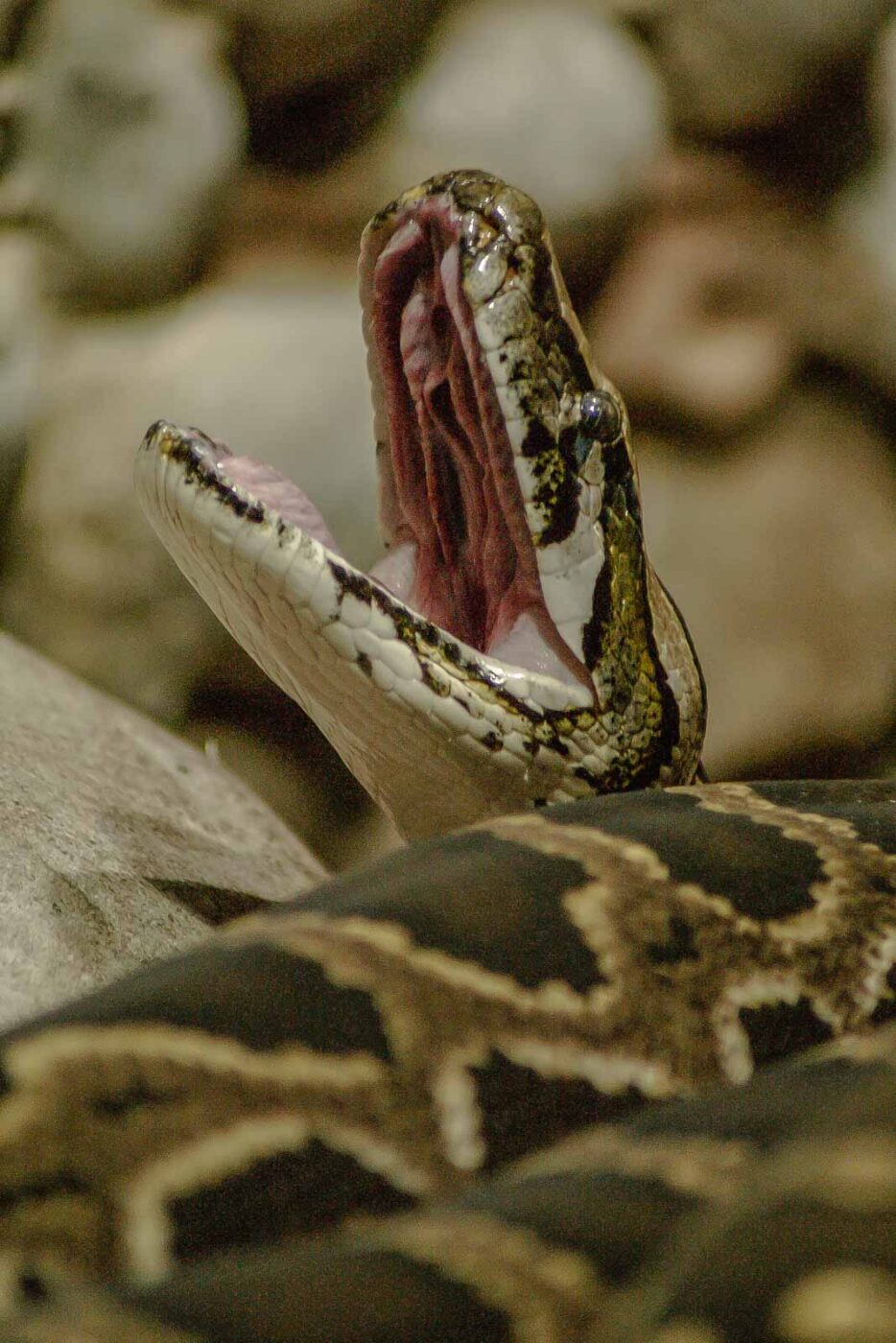 2016-02-17 - Tierpark und Fossilium Bochum