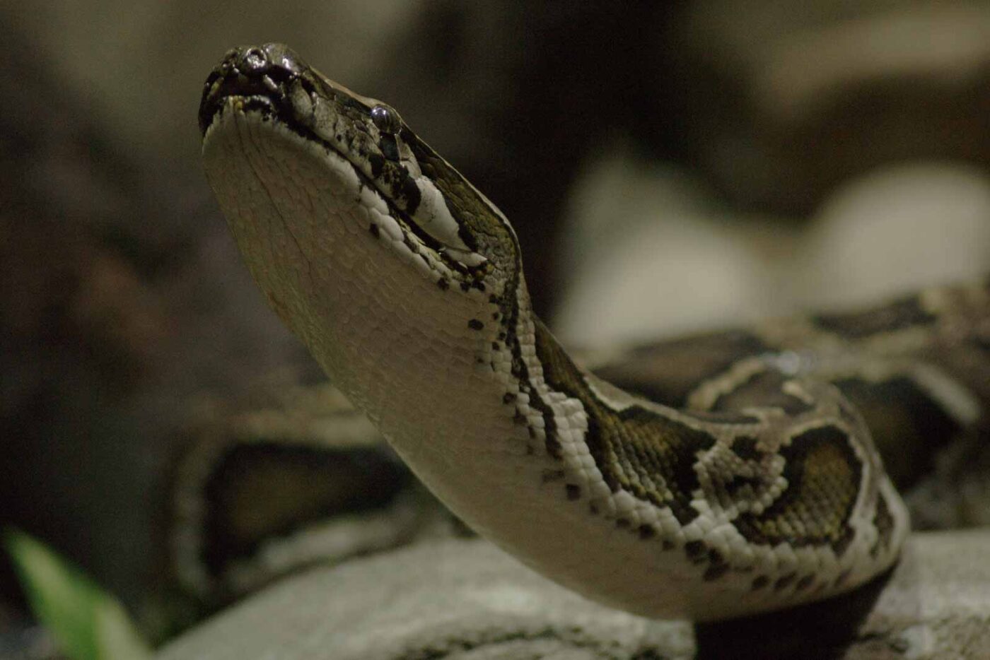 2016-02-17 - Tierpark und Fossilium Bochum