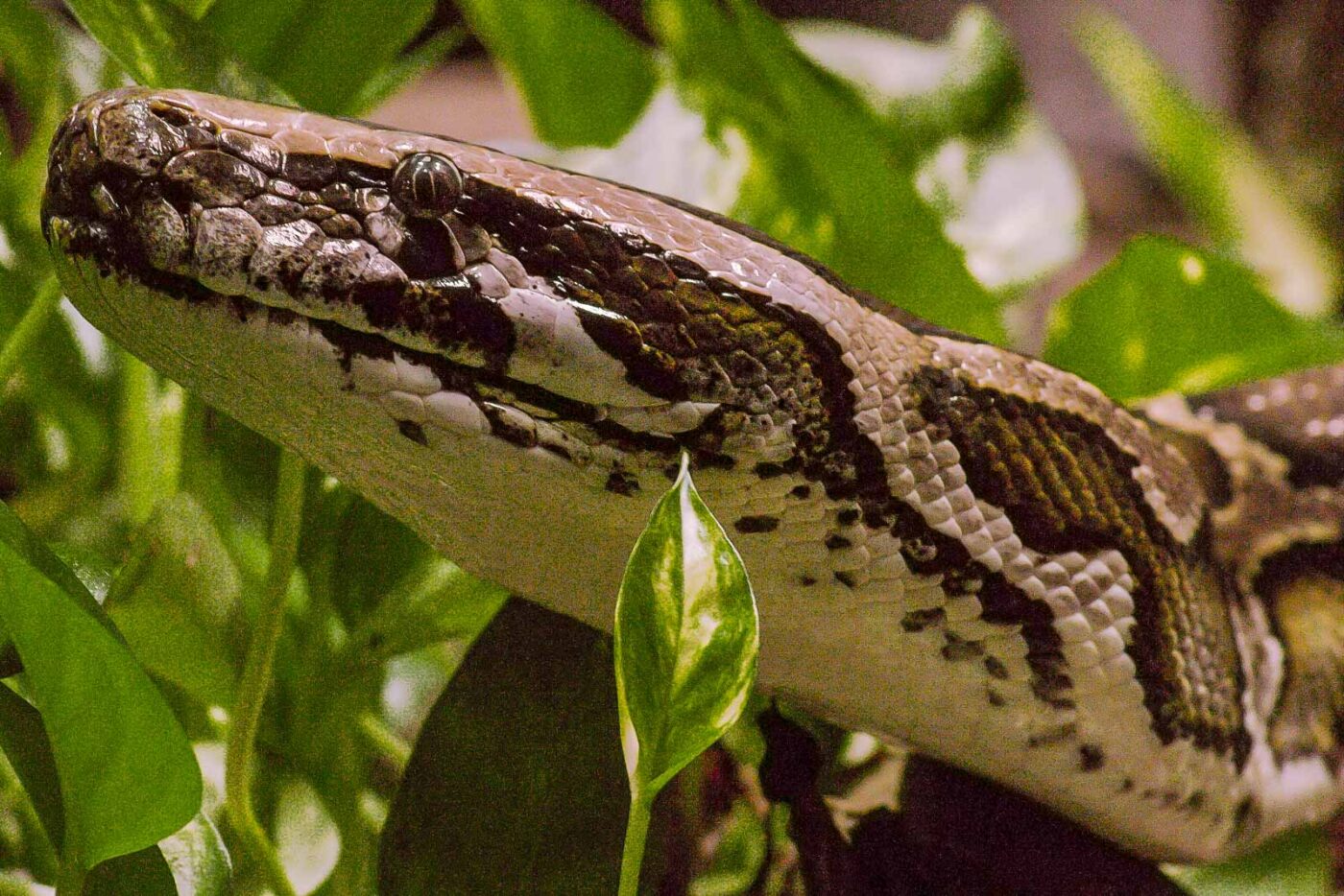 2016-02-17 - Tierpark und Fossilium Bochum