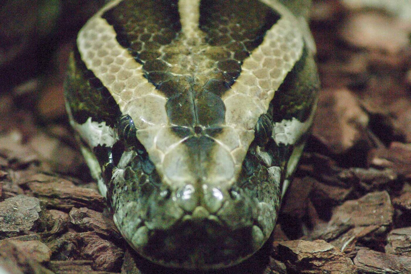 2016-02-17 - Tierpark und Fossilium Bochum