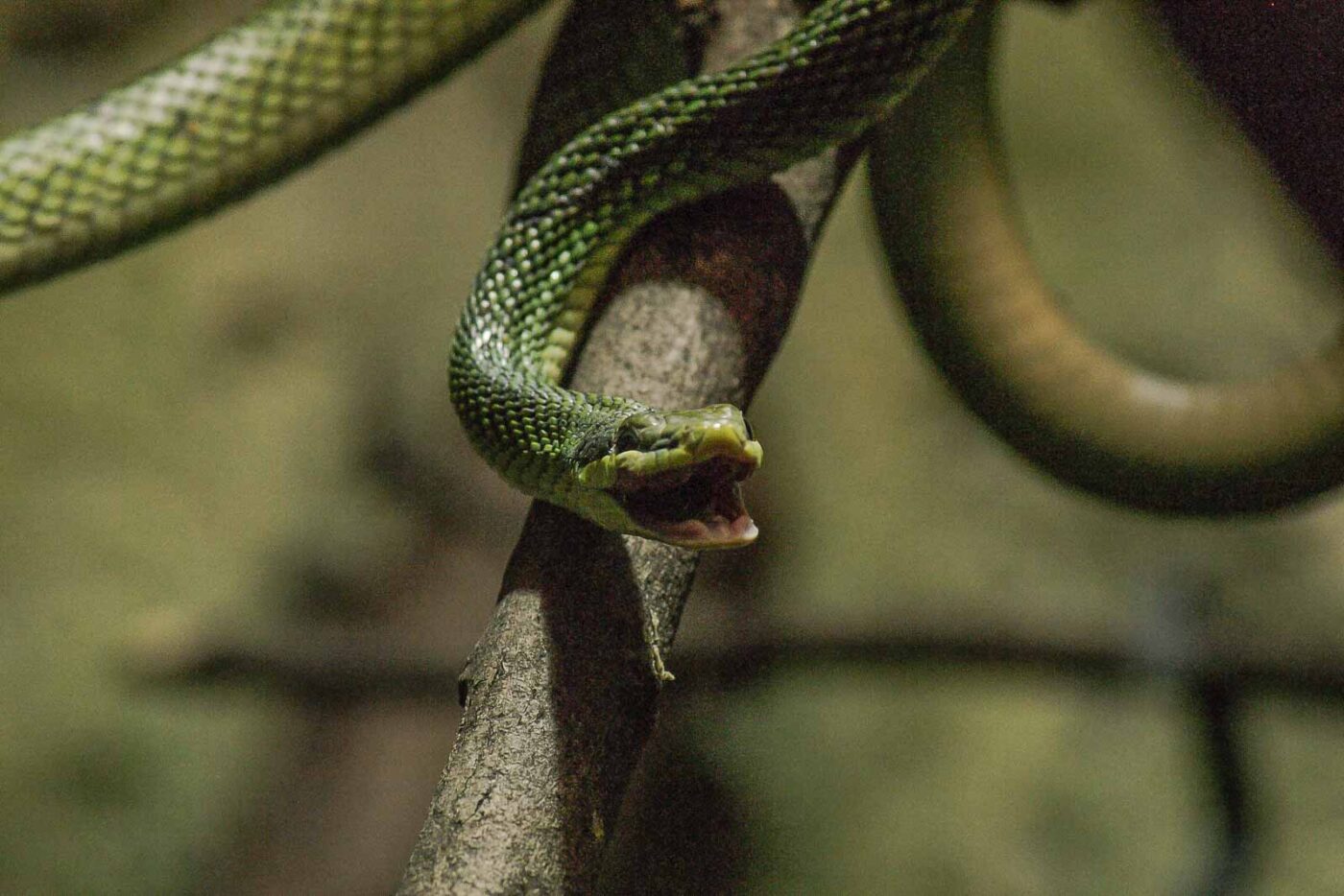 2016-02-17 - Tierpark und Fossilium Bochum