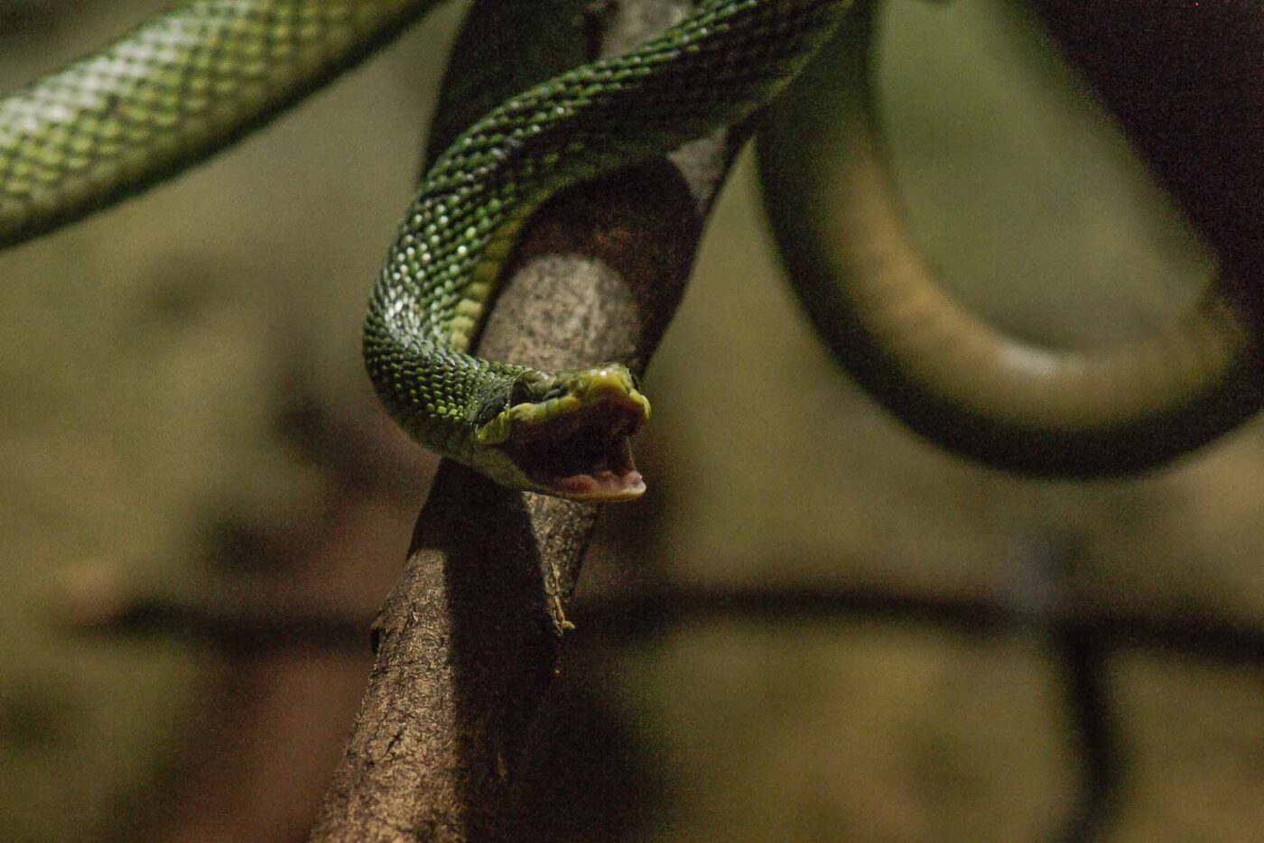 2016-02-17 - Tierpark und Fossilium Bochum