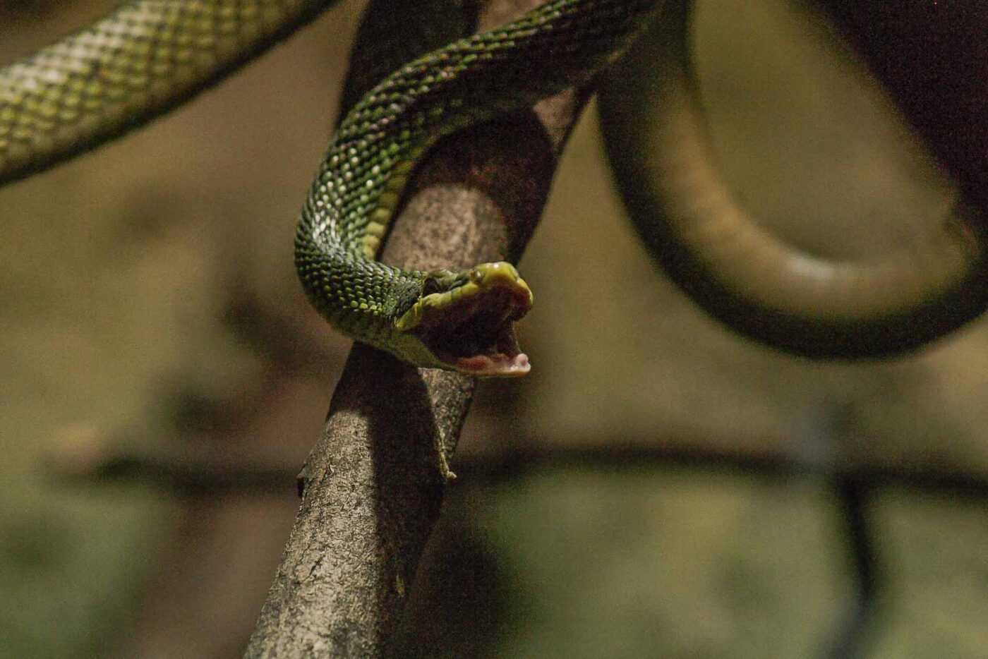 2016-02-17 - Tierpark und Fossilium Bochum