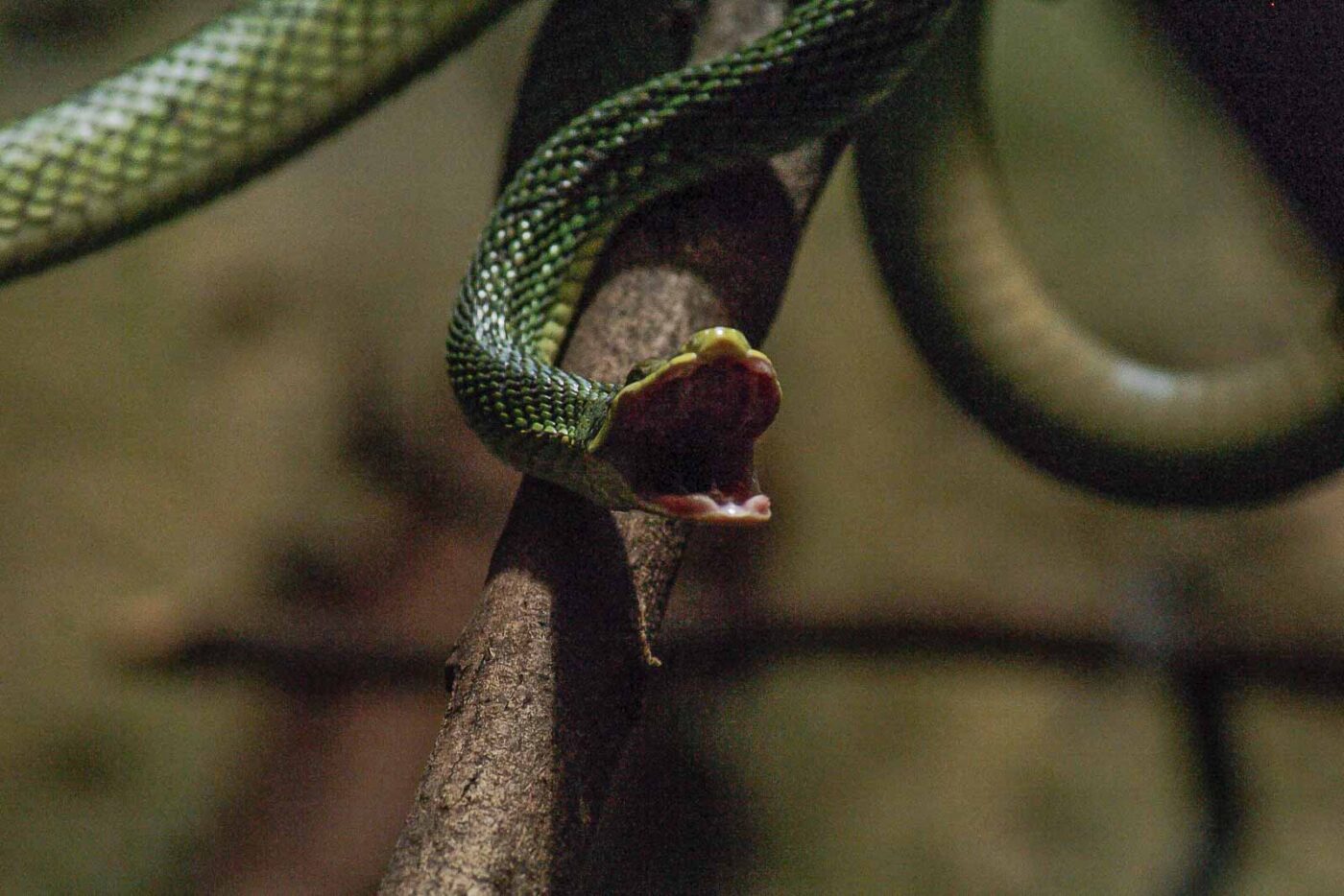 2016-02-17 - Tierpark und Fossilium Bochum