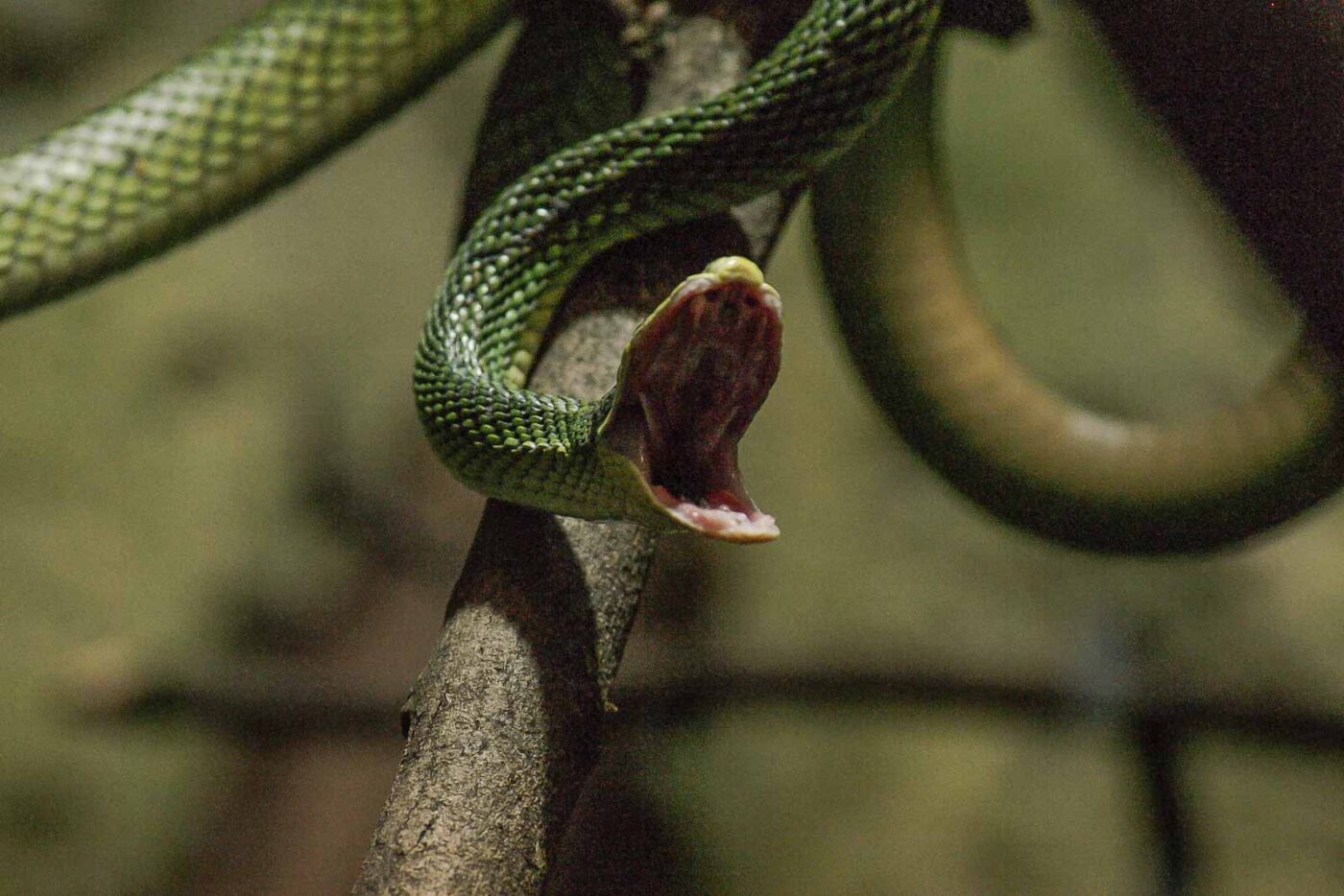 2016-02-17 - Tierpark und Fossilium Bochum