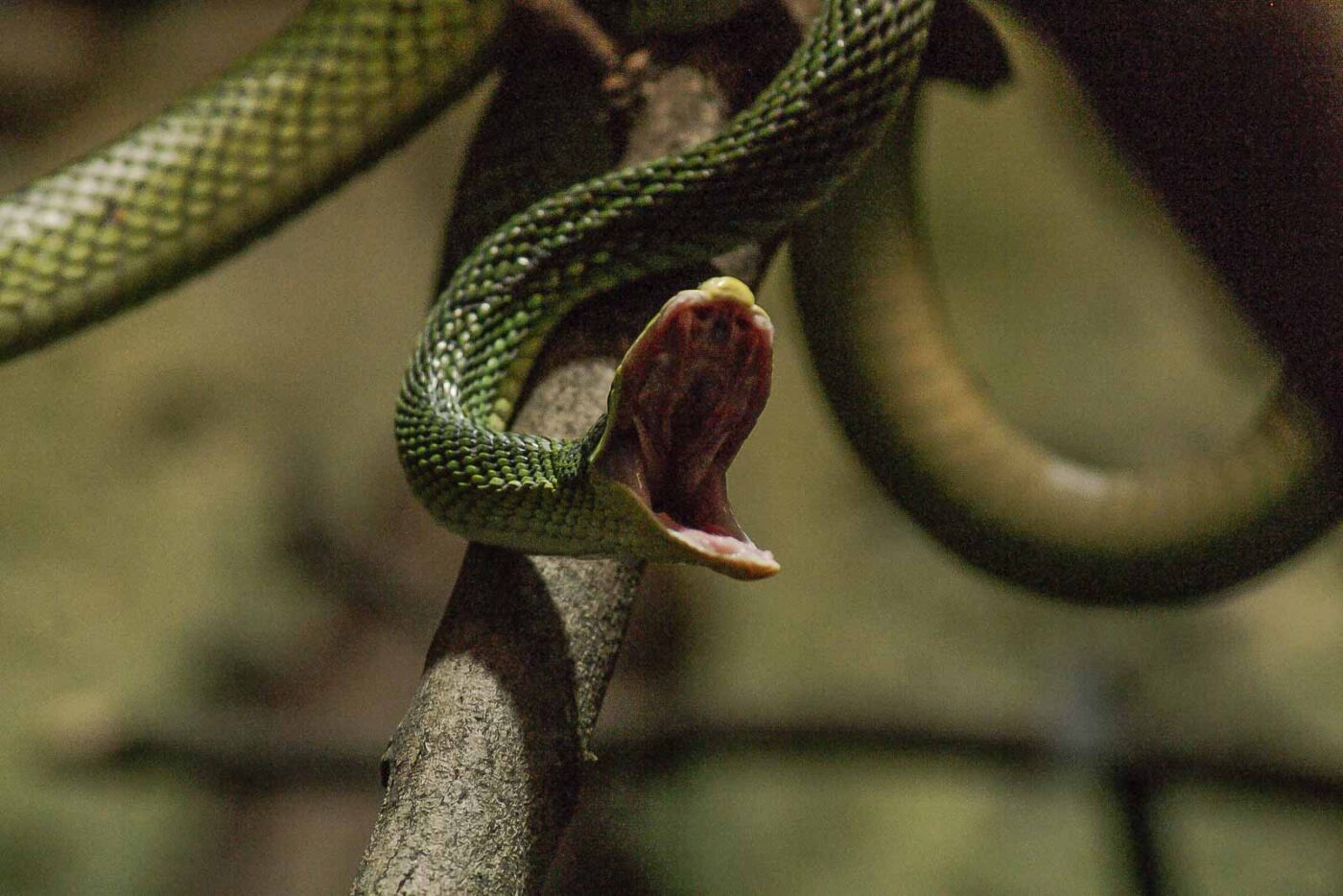 2016-02-17 - Tierpark und Fossilium Bochum