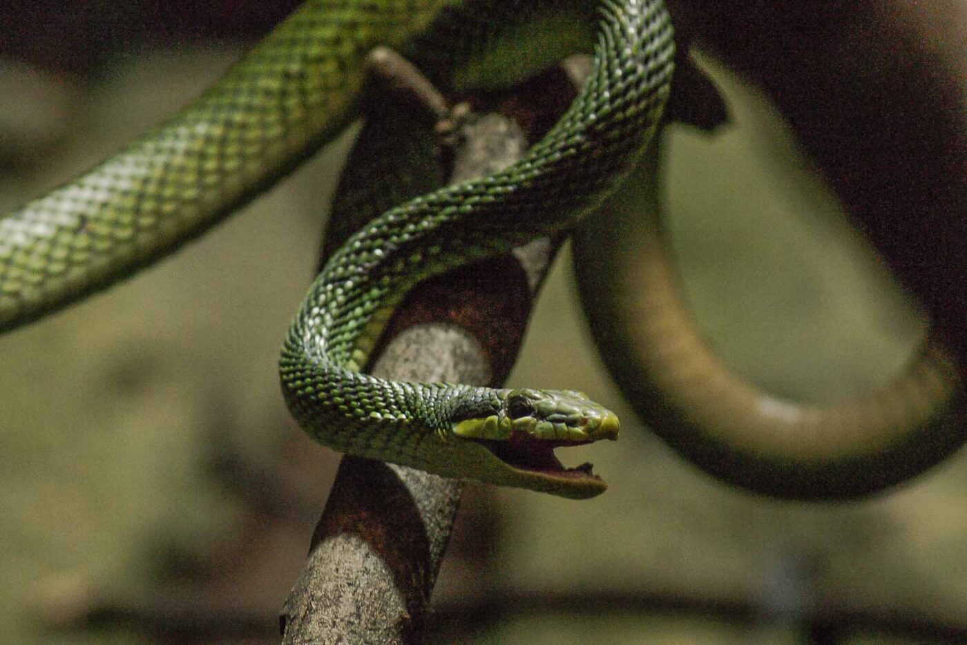 2016-02-17 - Tierpark und Fossilium Bochum