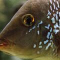 2016-02-17 - Tierpark und Fossilium Bochum