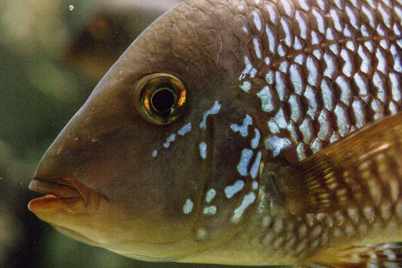 2016-02-17 - Tierpark und Fossilium Bochum