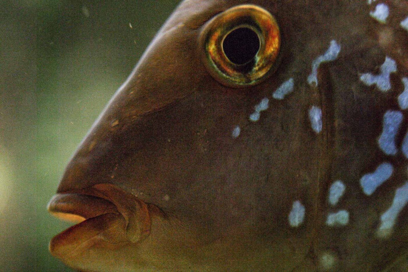 2016-02-17 - Tierpark und Fossilium Bochum