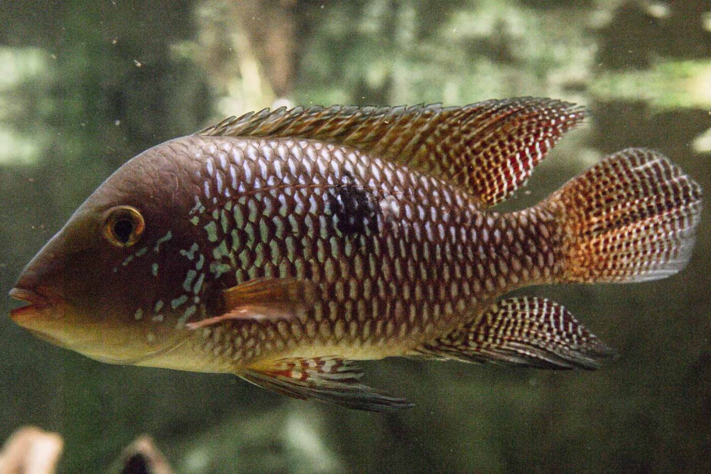 2016-02-17 - Tierpark und Fossilium Bochum