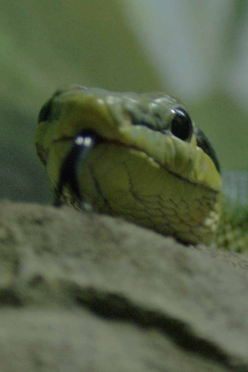 2016-02-17 - Tierpark und Fossilium Bochum