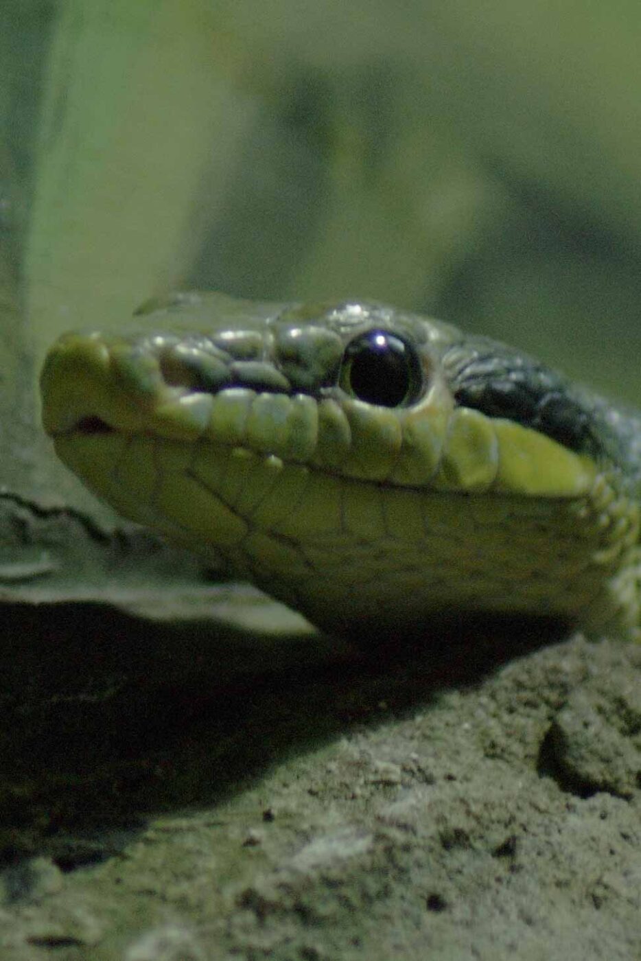 2016-02-17 - Tierpark und Fossilium Bochum