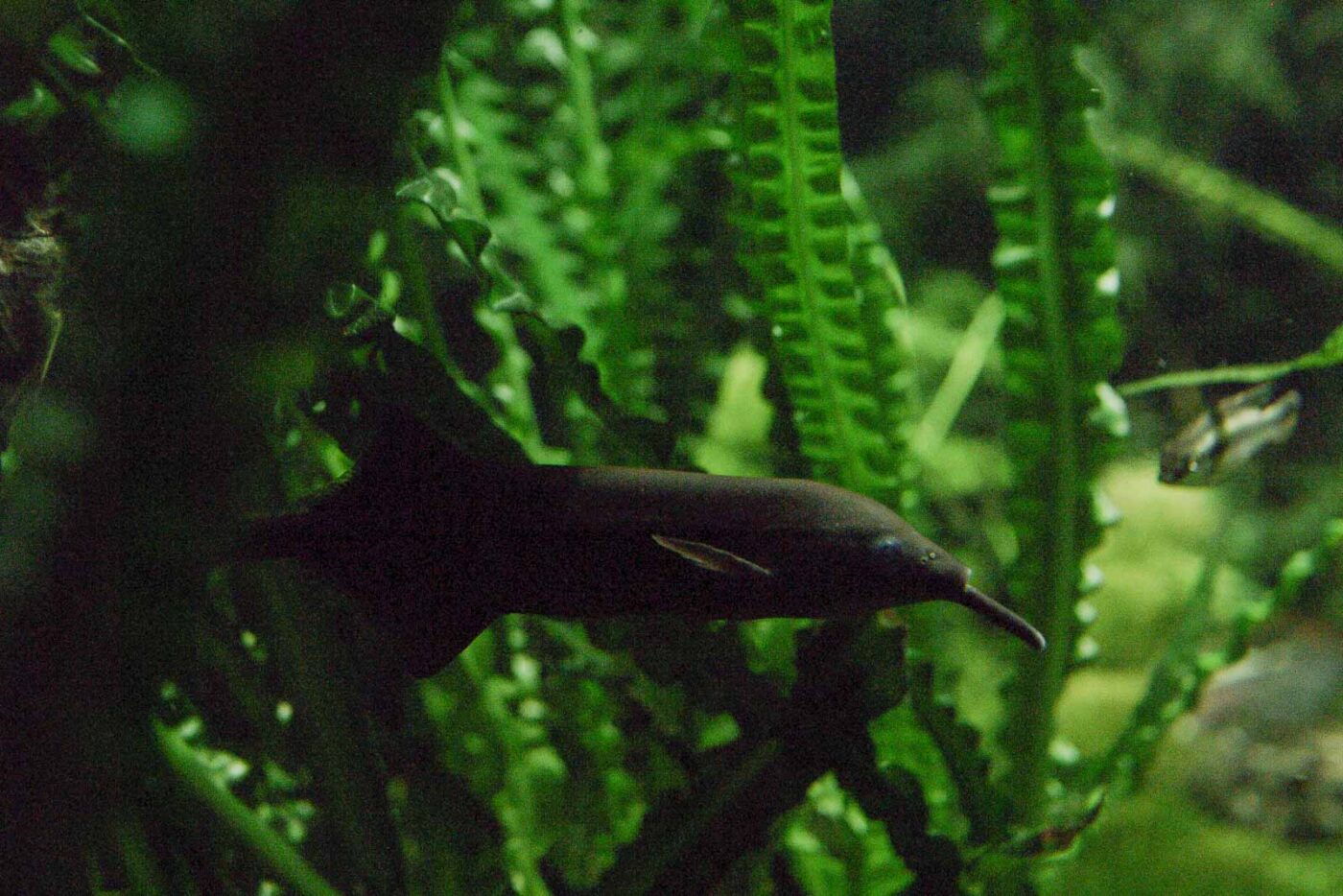 2016-02-17 - Tierpark und Fossilium Bochum