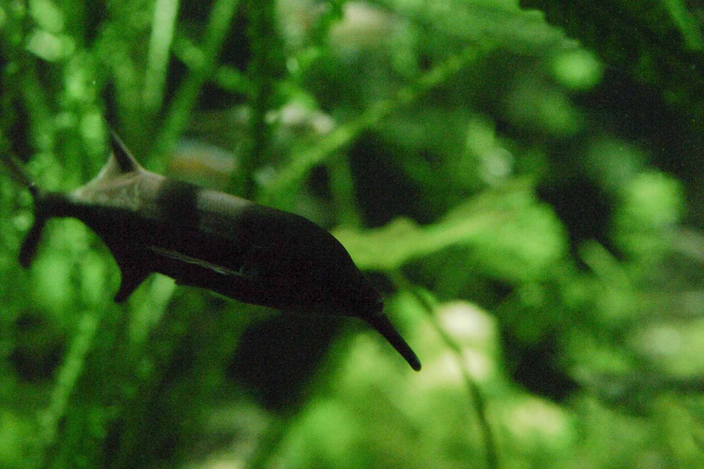 2016-02-17 - Tierpark und Fossilium Bochum