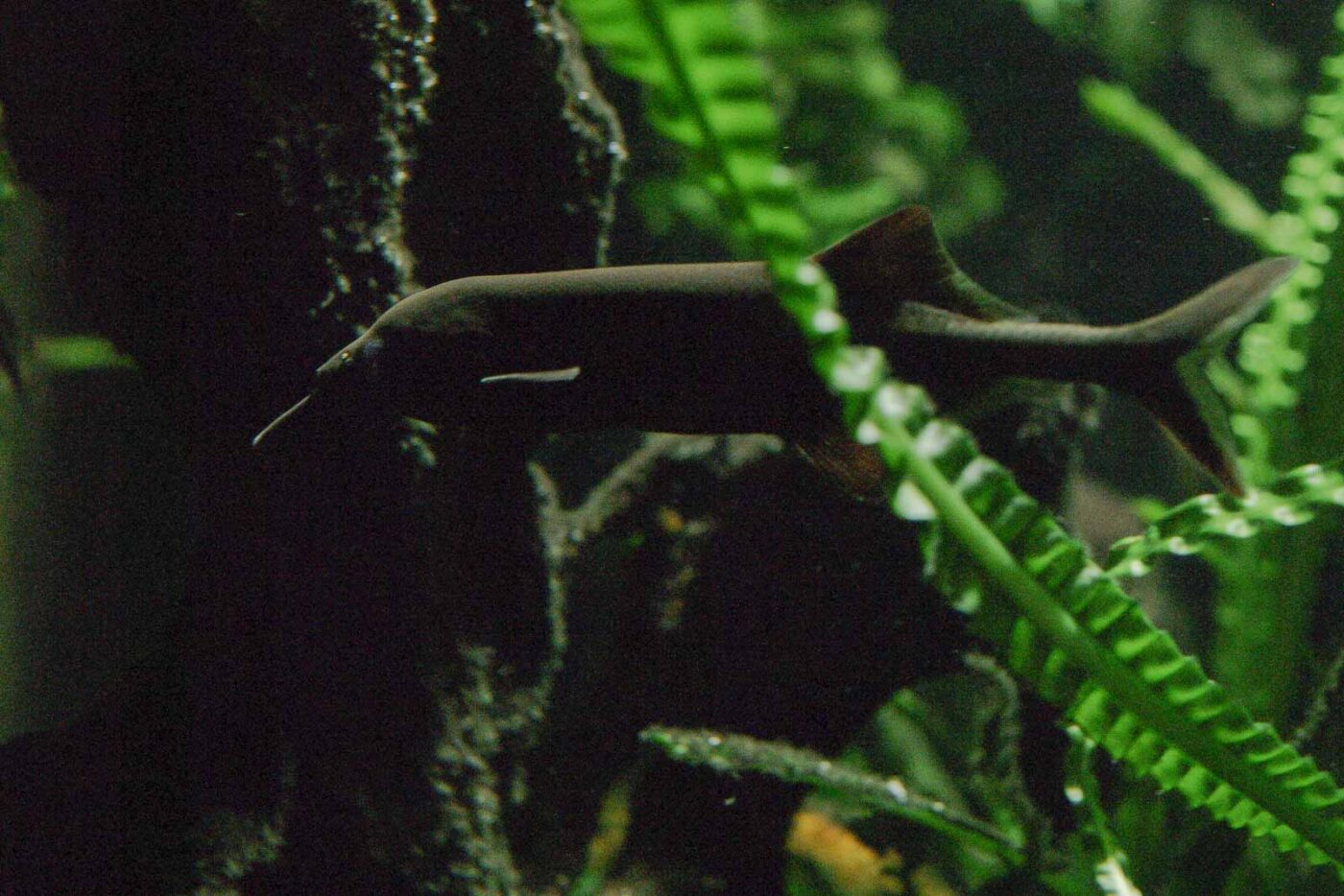 2016-02-17 - Tierpark und Fossilium Bochum