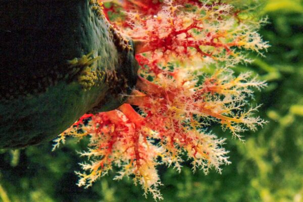 2016-02-19 - Tierpark und Fossilium Bochum