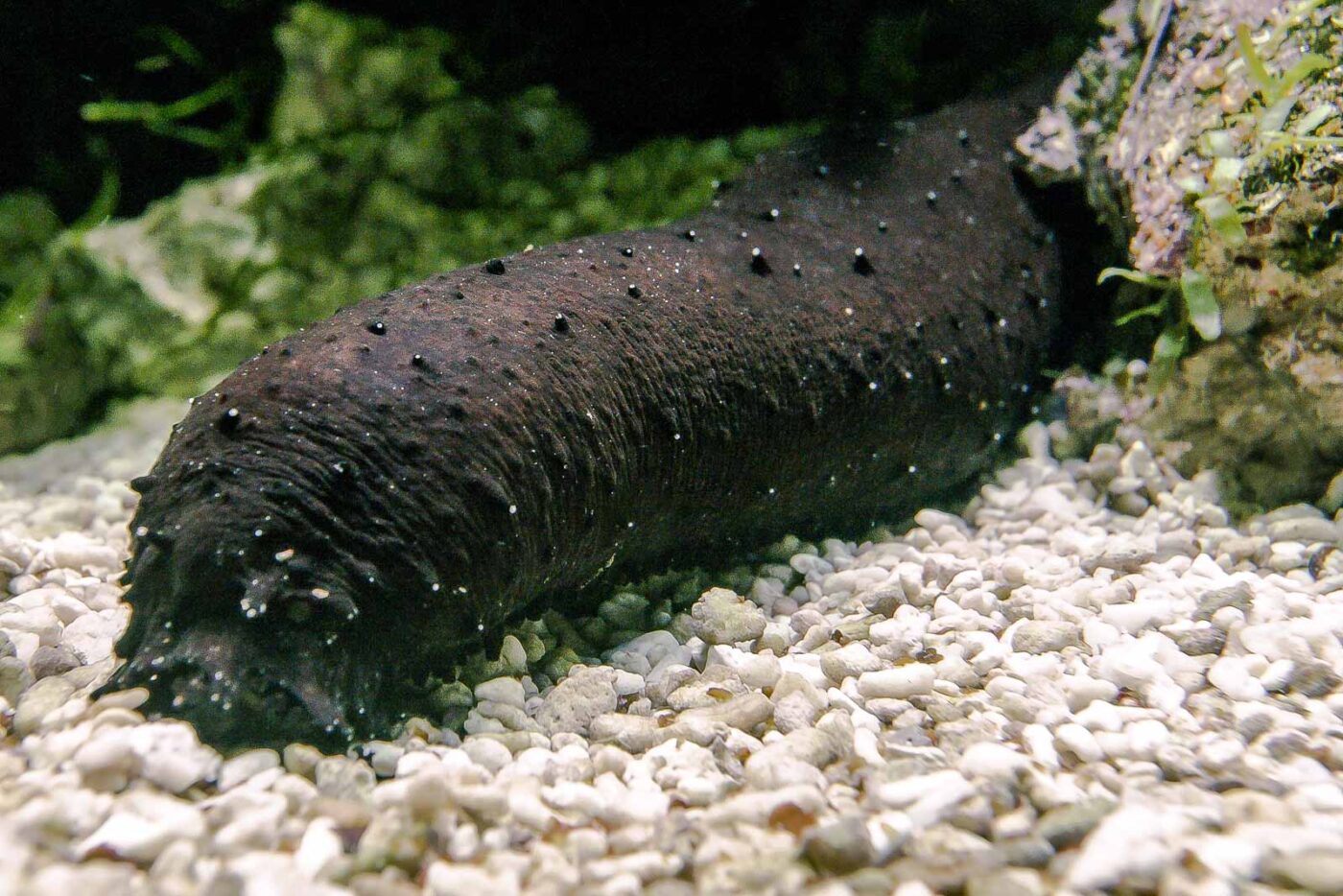 2016-02-19 - Tierpark und Fossilium Bochum