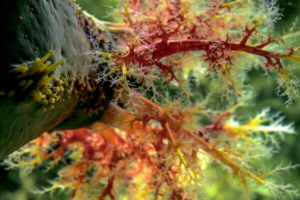 2016-02-19 - Tierpark und Fossilium Bochum