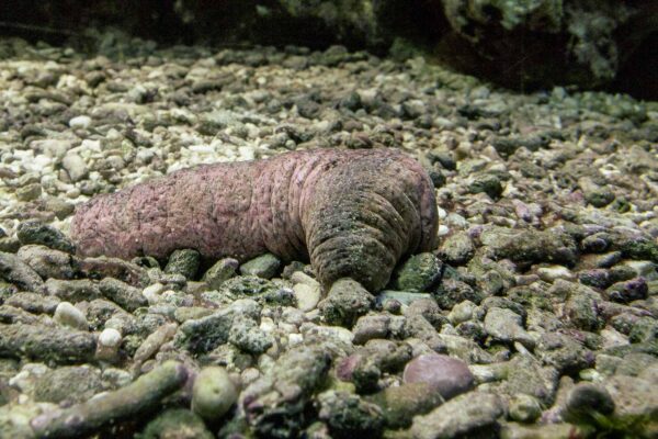 2016-02-19 - Tierpark und Fossilium Bochum