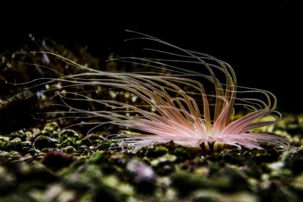 2016-02-19 - Tierpark und Fossilium Bochum