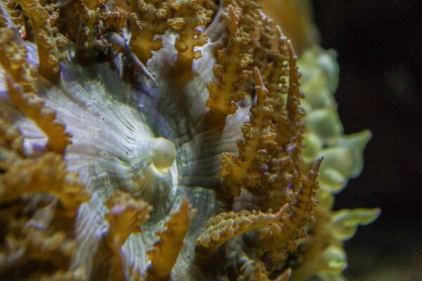 2016-02-19 - Tierpark und Fossilium Bochum