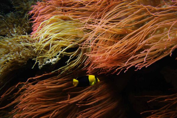 2016-02-19 - Tierpark und Fossilium Bochum