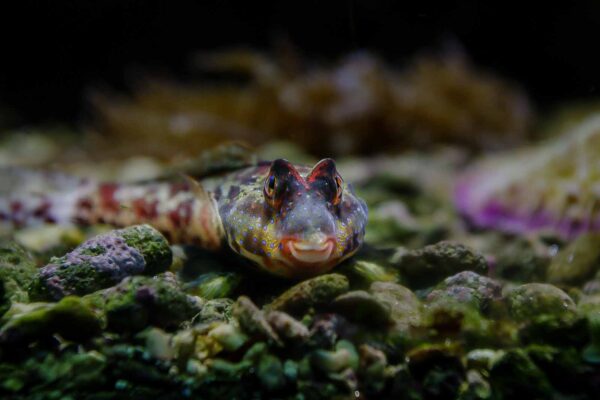 2016-02-19 - Tierpark und Fossilium Bochum