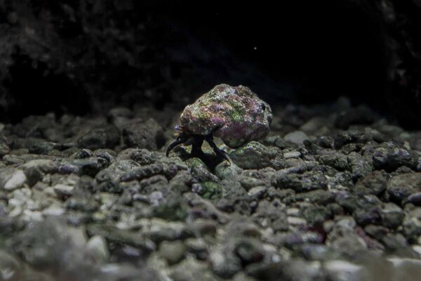 2016-02-19 - Tierpark und Fossilium Bochum