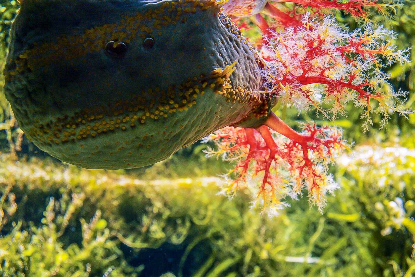 2016-02-19 - Tierpark und Fossilium Bochum