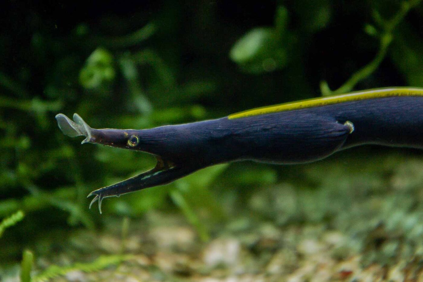 2016-02-19 - Tierpark und Fossilium Bochum