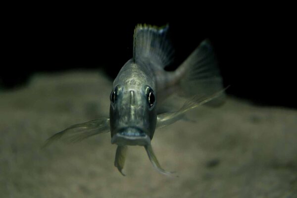 2016-02-19 - Tierpark und Fossilium Bochum