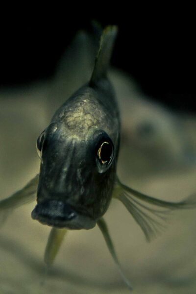 2016-02-19 - Tierpark und Fossilium Bochum