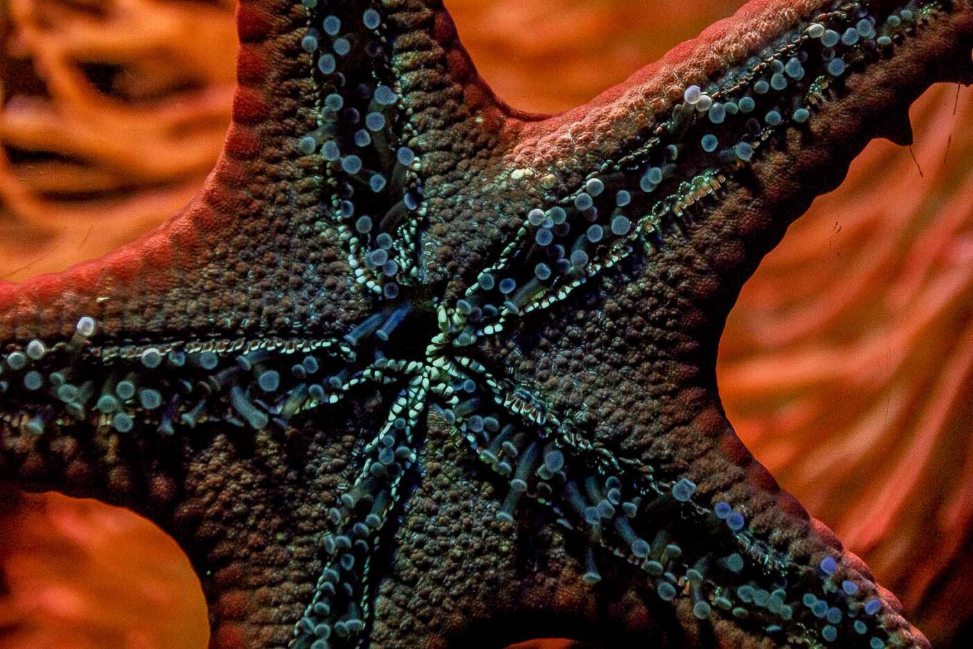 2016-02-19 - Tierpark und Fossilium Bochum