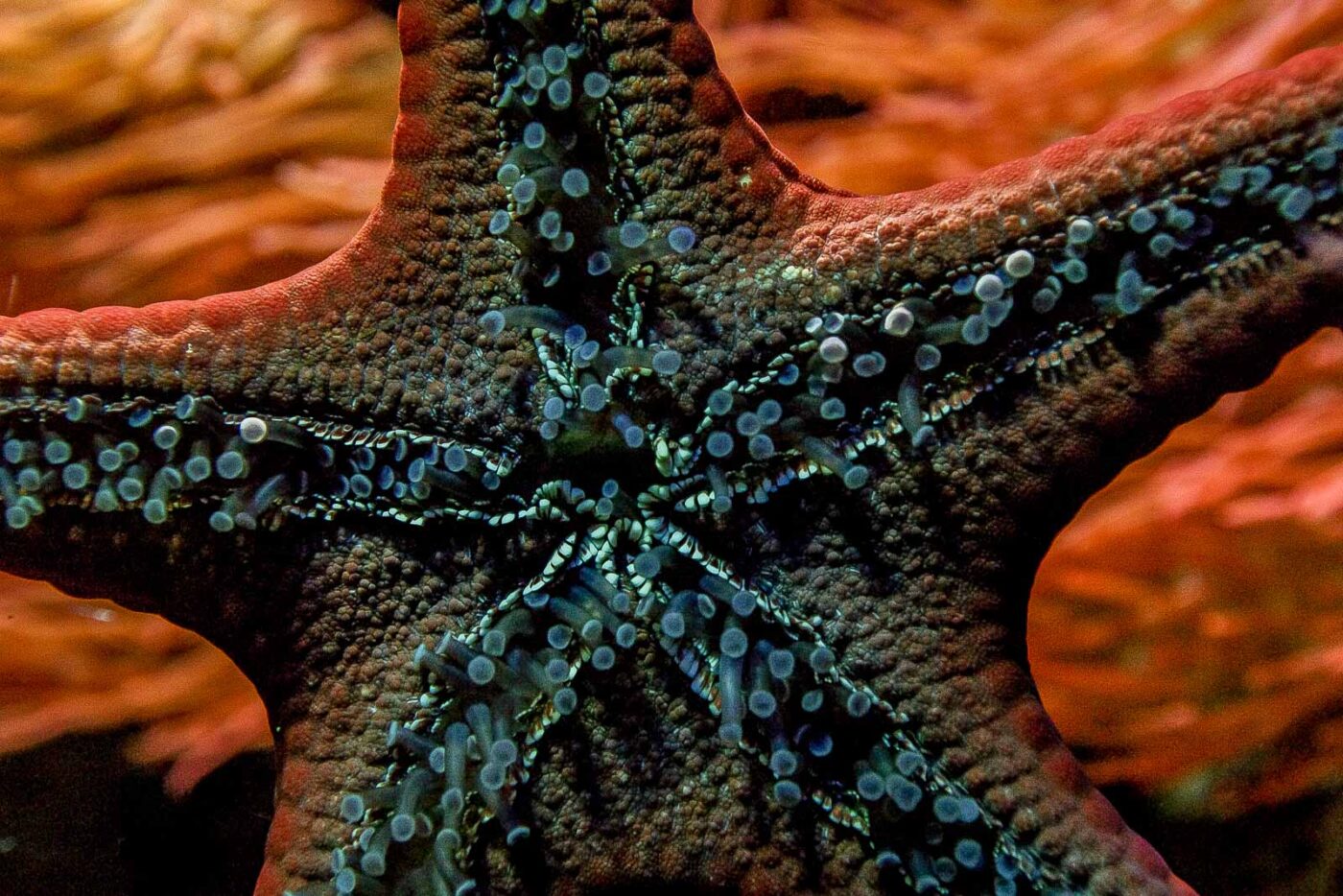 2016-02-19 - Tierpark und Fossilium Bochum