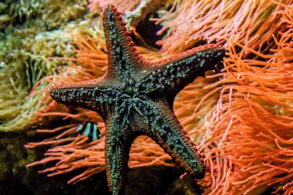 2016-02-19 - Tierpark und Fossilium Bochum