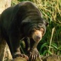 2016-03-10 - Allwetterzoo Münster