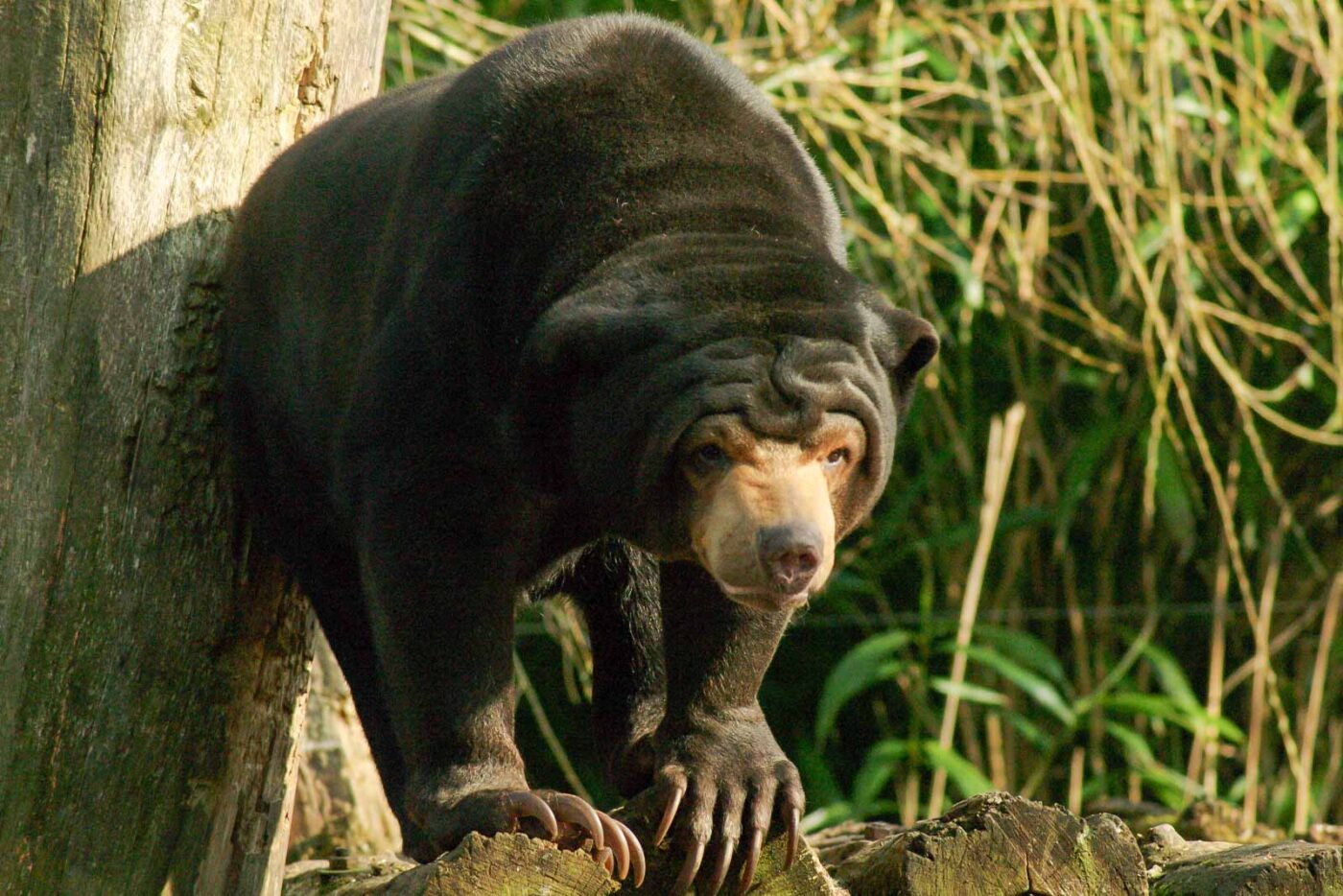 2016-03-10 - Allwetterzoo Münster