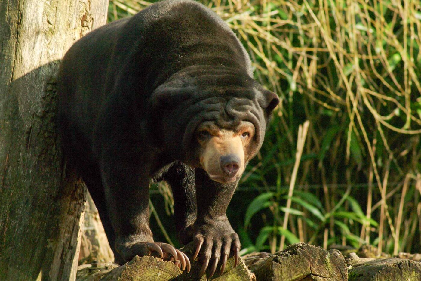 2016-03-10 - Allwetterzoo Münster