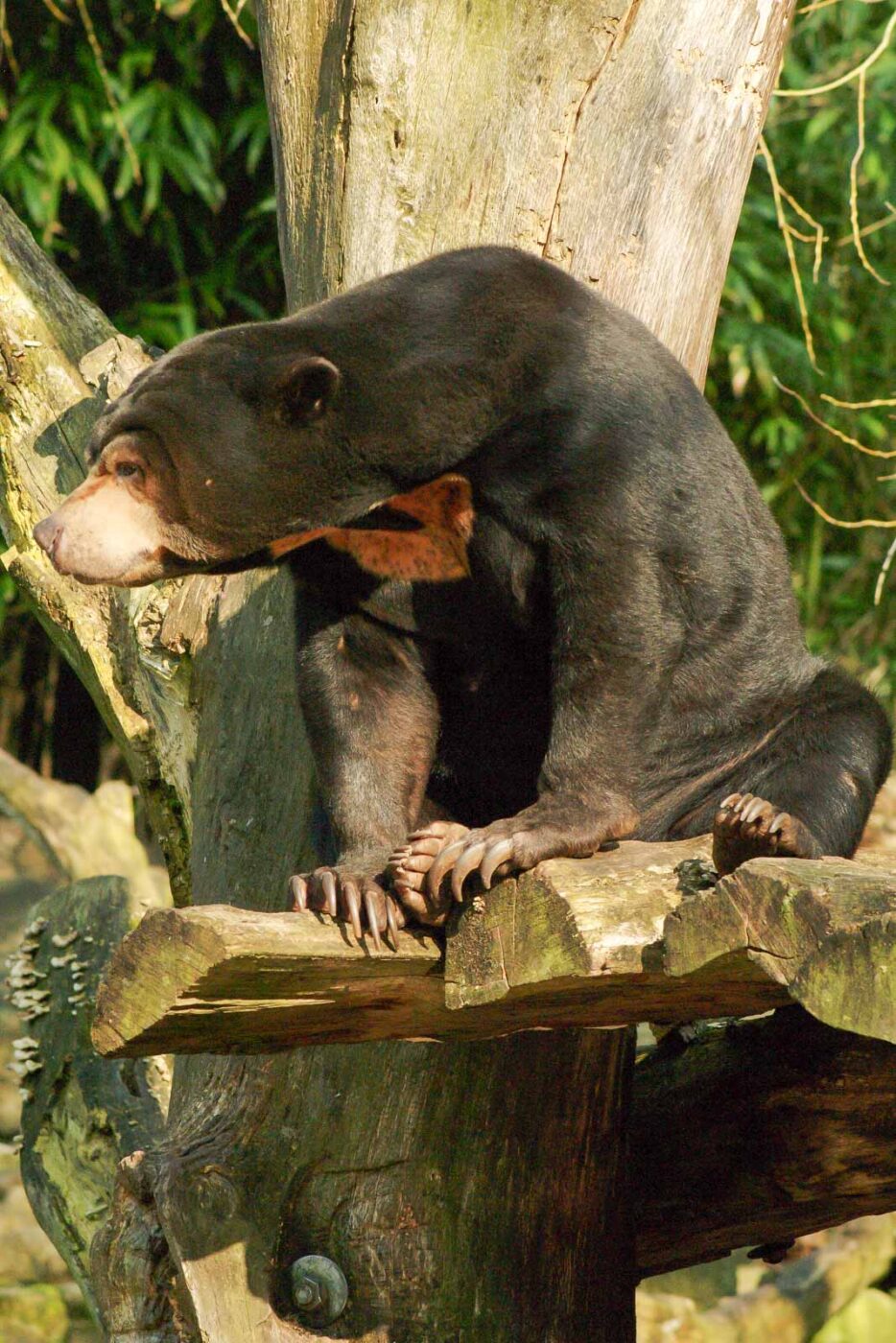 2016-03-10 - Allwetterzoo Münster