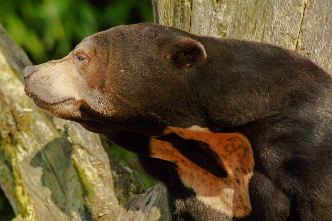2016-03-10 - Allwetterzoo Münster