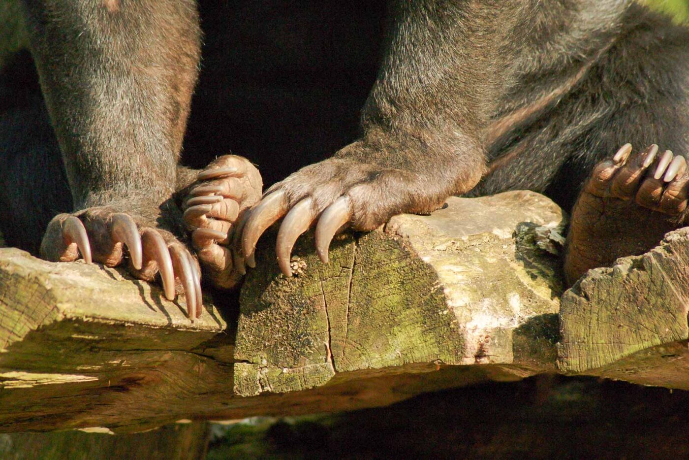 2016-03-10 - Allwetterzoo Münster