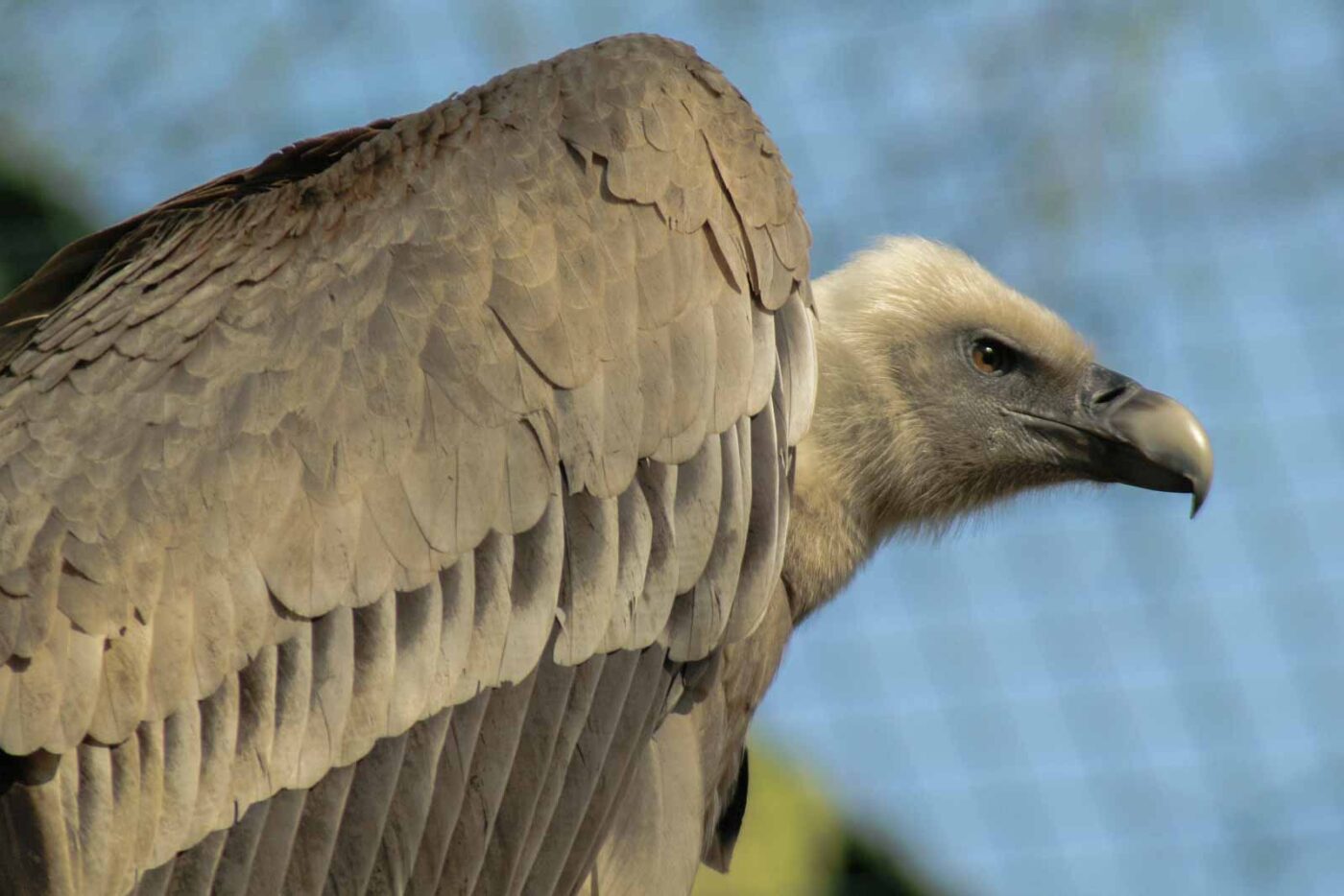2016-03-10 - Allwetterzoo Münster
