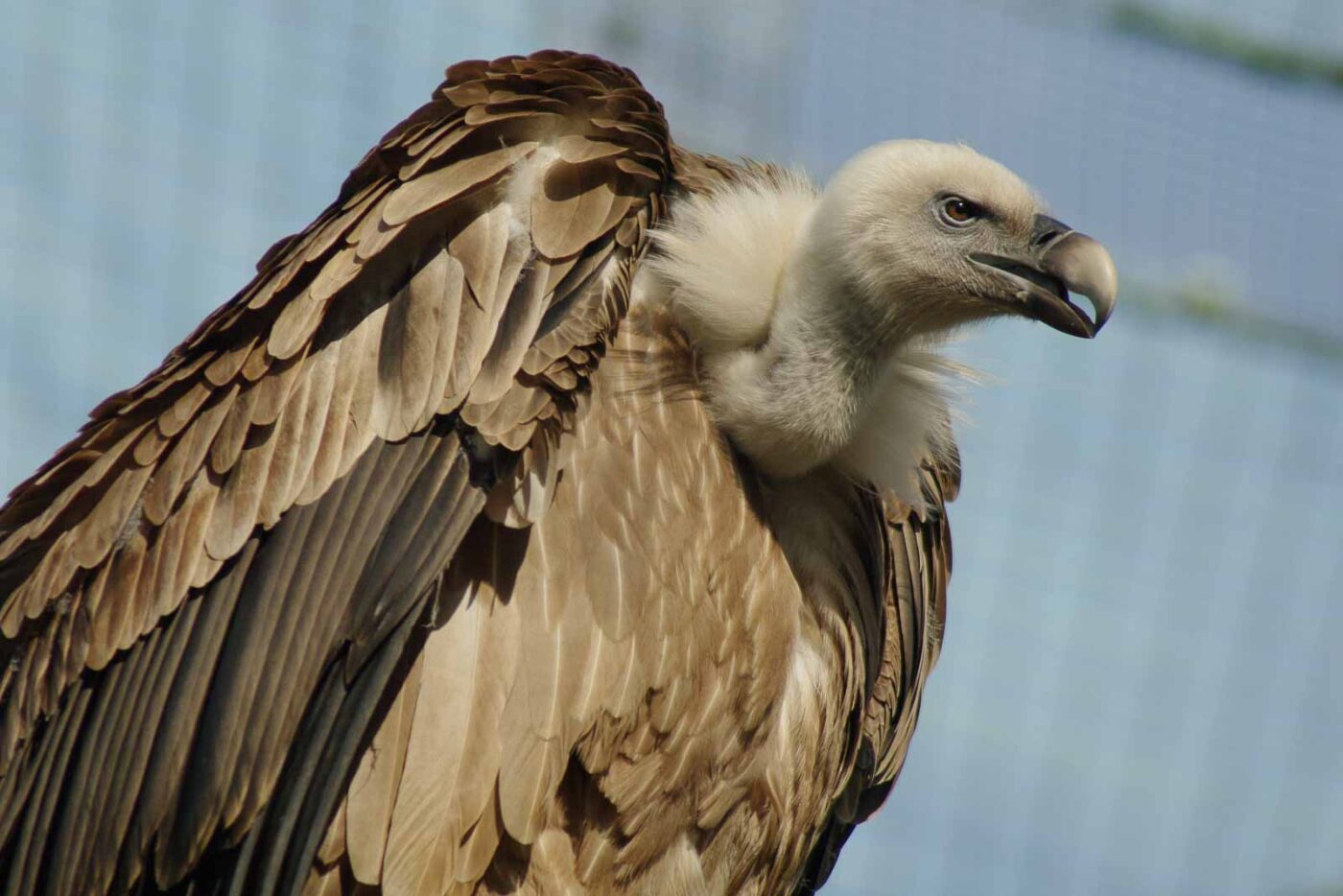 2016-03-10 - Allwetterzoo Münster