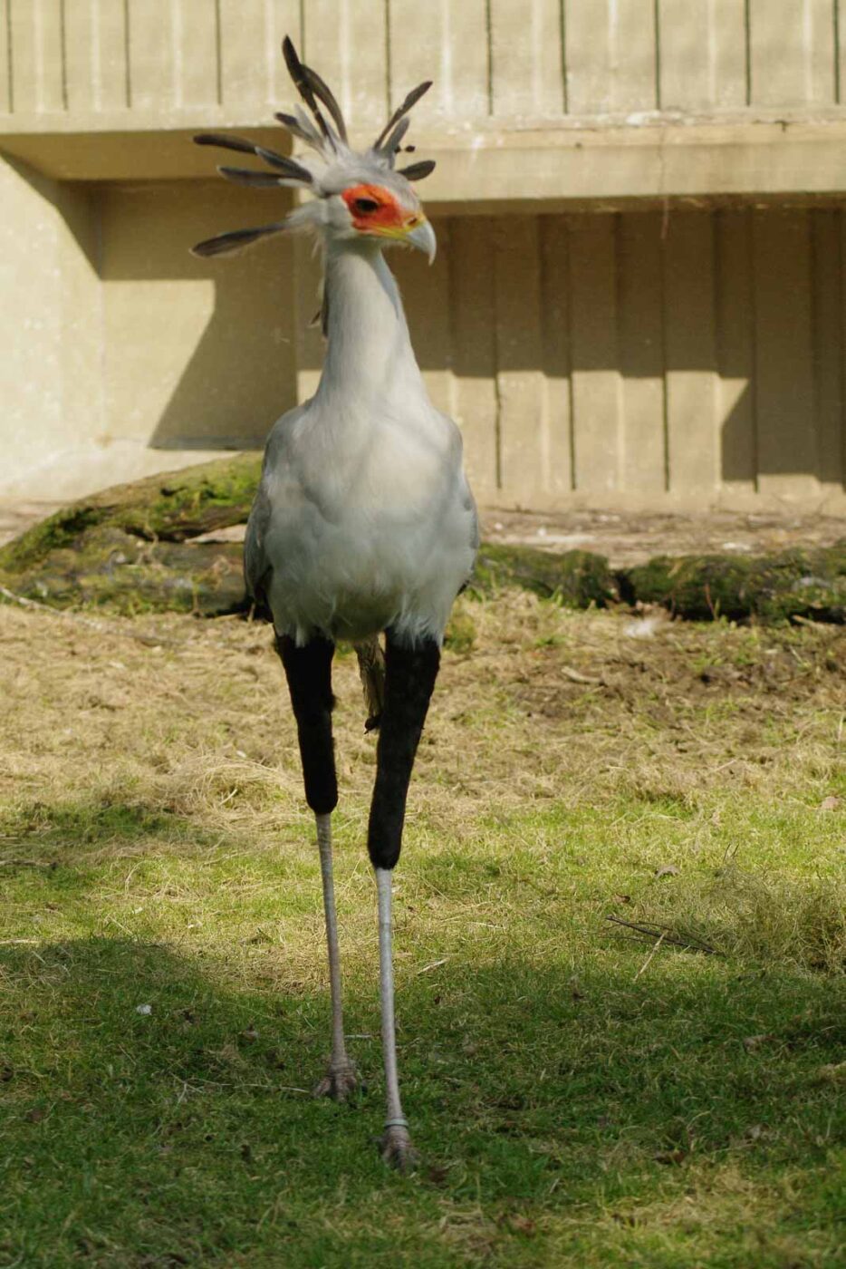 2016-03-10 - Allwetterzoo Münster