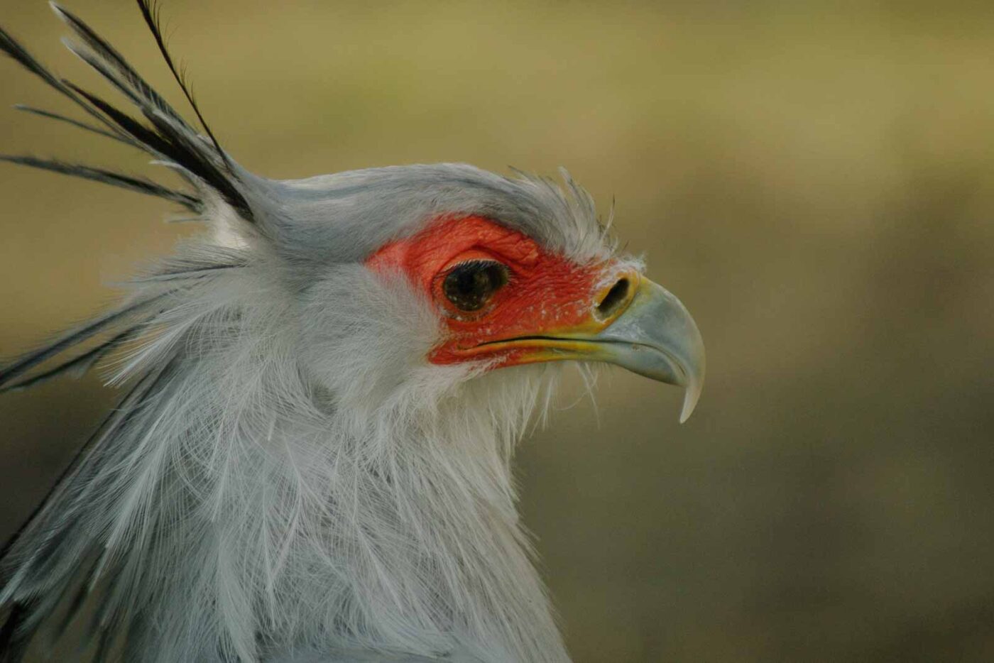 2016-03-10 - Allwetterzoo Münster