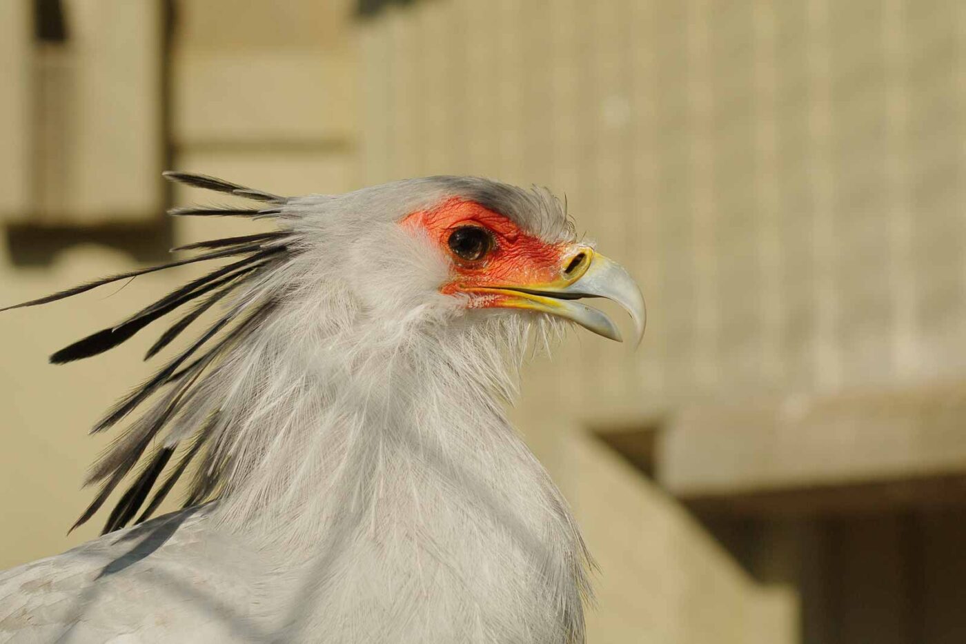 2016-03-10 - Allwetterzoo Münster
